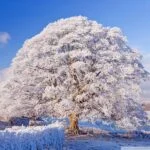 دمو گردشگری 68 winter_season_8-wallpaper-800x600-1.jpg