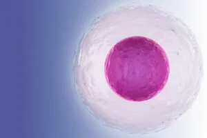 از کجا بفهمم تخمک آزاد شده