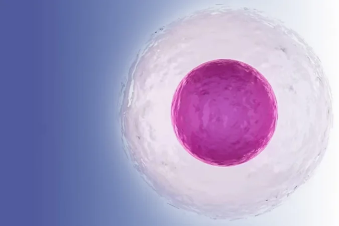 از کجا بفهمم تخمک آزاد شده