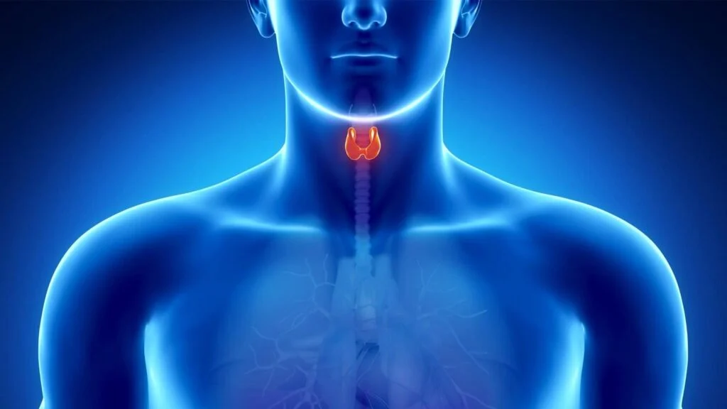 از کجا بفهمیم تیروئید داریم