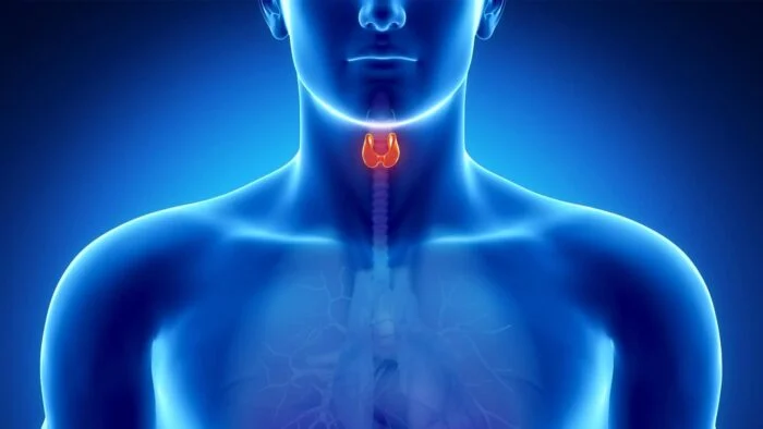 از کجا بفهمیم تیروئید داریم