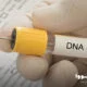 آیا از طریق آزمایش DNA رابطه نامشروع ثابت می‌شود؟